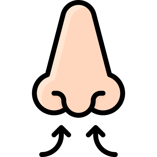 Inhaler